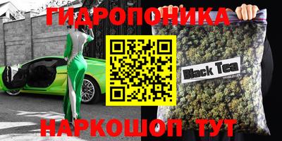 хмурый Кимры