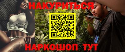 трава Кингисепп